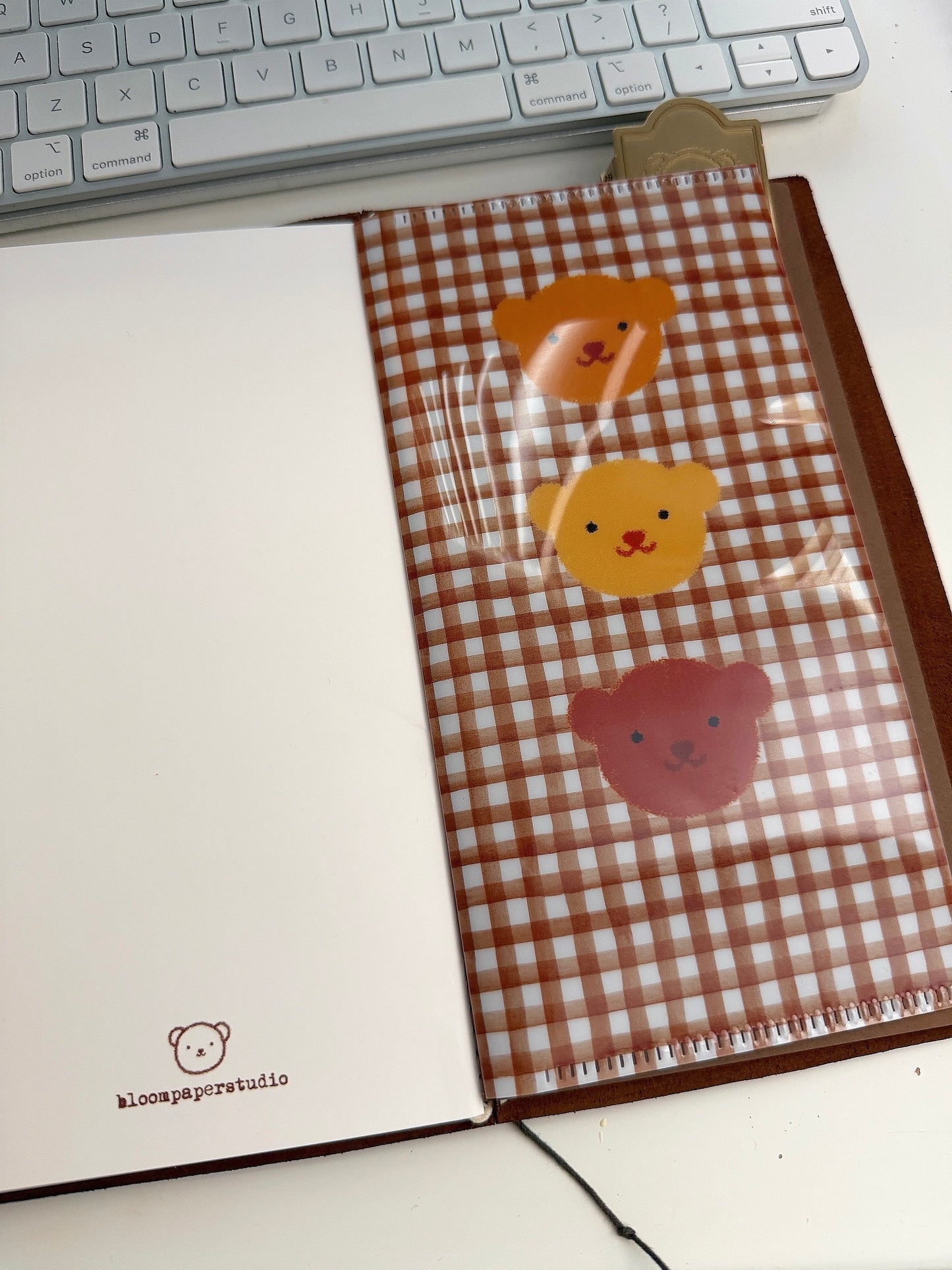 Three Litto Bears Clear Folder