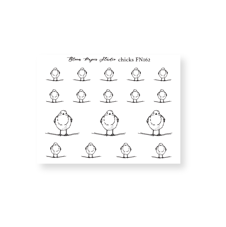FN162 Foiled Chicks Planner Stickers