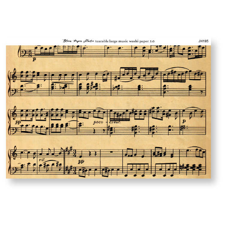 Tearable Large Music Washi Paper 2.0